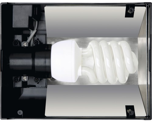 Lampe à économie d''énergie dans un réflecteur