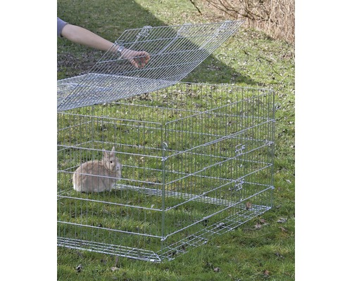 Enclos extérieur en fil de fer avec lapin et une personne ouvrant le couvercle