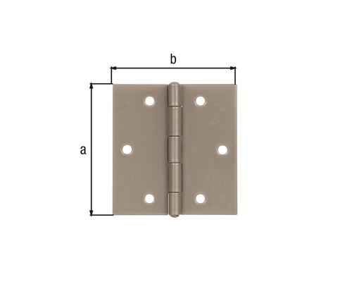Paumelle de porte avec dimensions