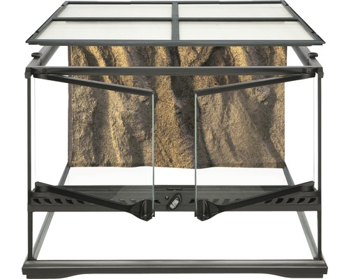 Terrarium avec façade en verre et fond rocheux
