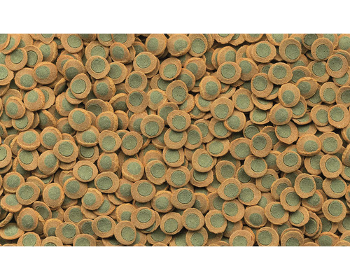 Fischfuttertabletten Nahaufnahme