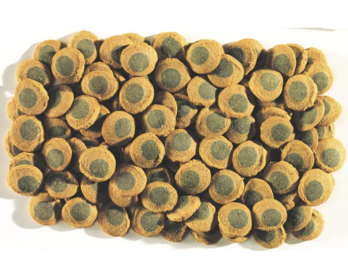 Viele Tabletten für Zierfische mit Spirulina Algenkern