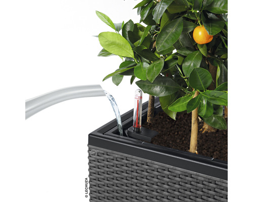 Système d''arrosage pour jardinières avec indicateur de niveau d''eau et plante