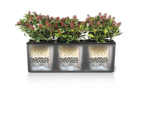 Jardinière de balcon avec plantes et système d''irrigation