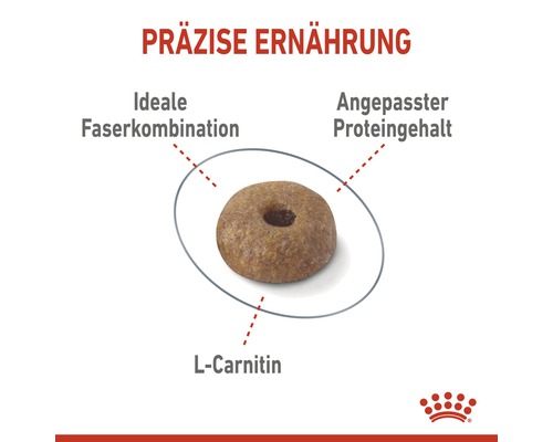 Einzelnes Stück Hundefutter mit idealer Faserkombination, angepasstem Proteingehalt und L-Carnitin