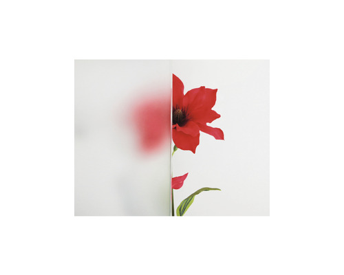 Glasdekorfolie mit Blumenmuster zur Dekoration