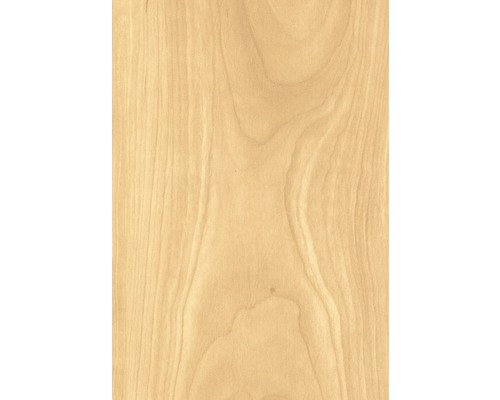 Gros plan de la structure du bois