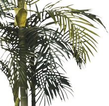 Palmier artificiel Areca golden Cane, hauteur 190 cm, vert-thumb-3