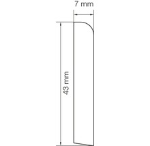 Dessin technique avec cotes : 43 mm de hauteur, 7 mm de largeur