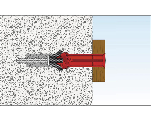 Illustration d''une vis avec cheville dans un mur