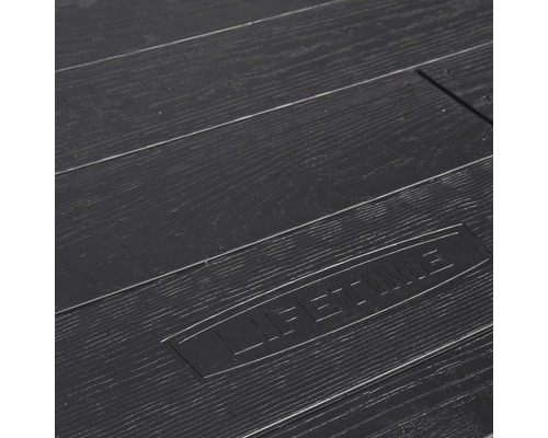 Vue détaillée d''une surface en plastique avec structure en bois et logo Lifetime