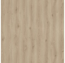 Gros plan d''un sol stratifié avec une texture de bois