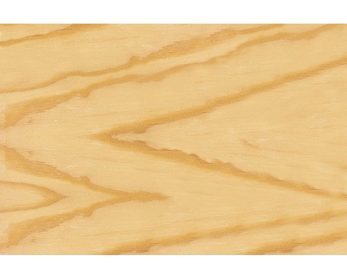 Structure du bois d''un épicéa