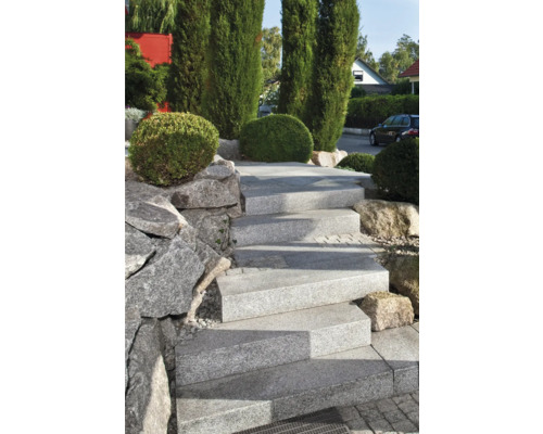 Escalier extérieur en granit avec mur de pierre latéral et végétation