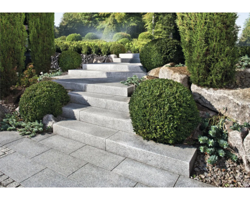 Escalier en pierre naturelle dans jardin avec plantes