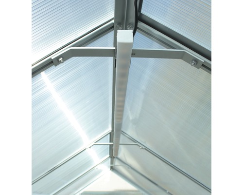 Innenansicht eines Gewächshauses mit Polycarbonatplatten und LED-Beleuchtung