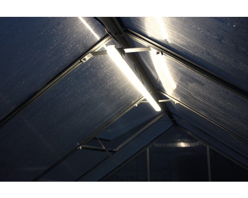 Innenansicht eines Gewächshauses mit Beleuchtung