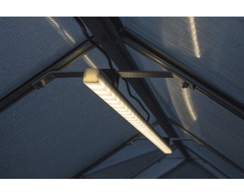 Innenansicht eines Gewächshauses mit installierter Pflanzenlampe