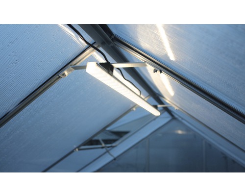 Innenansicht eines Gewächshauses mit Beleuchtung