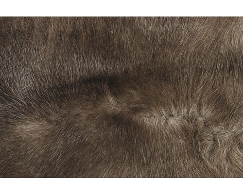 Gros plan sur la peau d''animal pour le linge de maison