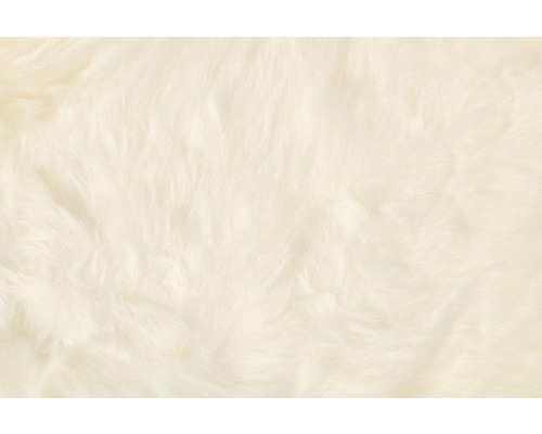 Nahaufnahme eines Teppichs mit hohem Flor