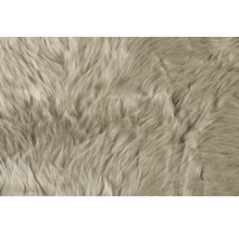 Vue détaillée d''un tapis à poils longs