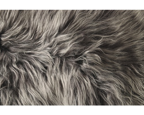 Detailaufnahme eines Teppichs mit langem Flor