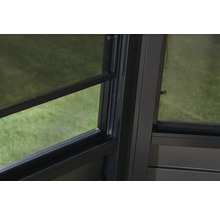 Detailansicht eines Fensters mit Insektenschutzgitter.