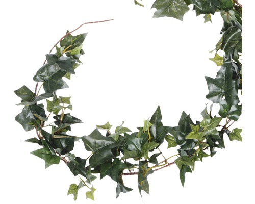 Guirlande de lierre pour la décoration
