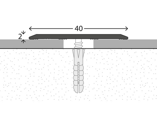 Illustration d''une vis avec cheville dans le mur, dimensions : 40 millimètres de large, 2 millimètres de haut