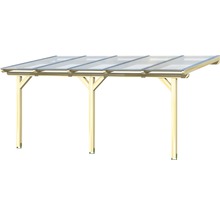 Holz Carport mit durchsichtigem Dach