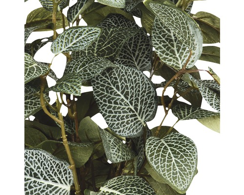 Gros plan d''une plante artificielle avec des feuilles à motifs