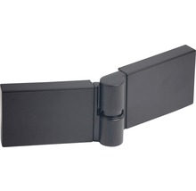 Paroi latérale pour porte pivotante Breuer Panorama 80 cm en verre décoratif gris, profilé couleur noire-thumb-4