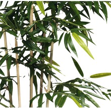 Plante artificielle bambou hauteur 150 cm, vert-thumb-1