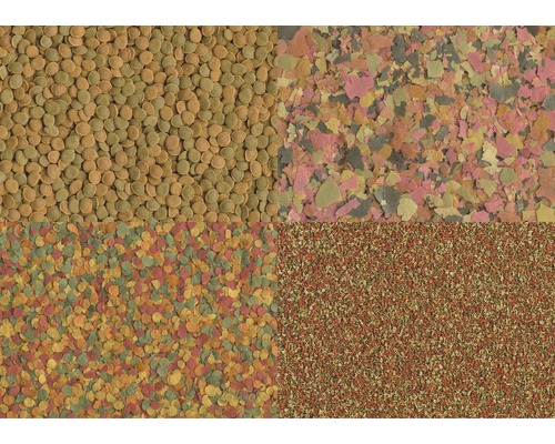 Gros plan sur des aliments pour poissons en flocons et en granulés