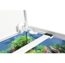 Aquarium EHEIM aquastar 54 avec éclairage à LED, filtre intérieur, chauffage, thermomètre sans meuble bas, blanc-thumb-2