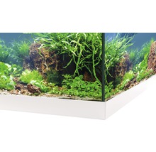 Aquarium EHEIM aquastar 54 avec éclairage à LED, filtre intérieur, chauffage, thermomètre sans meuble bas, blanc-thumb-3