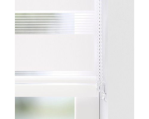 Fenster mit transparentem Doppelrollo