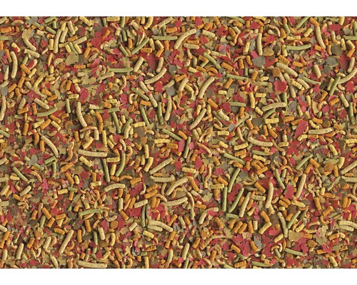 Abbildung von Flockenfutter und Futtersticks für Aquarienfische