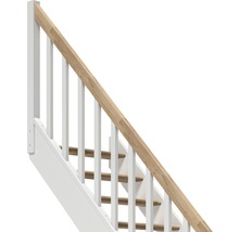 Treppe mit weißem Geländer und Holzhandlauf