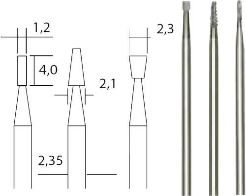 Illustration et photo de produit de fraises avec indications de dimensions