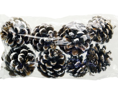 Paquet de pommes de pin pour la décoration