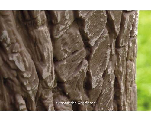 Nahaufnahme einer Baumrindenstruktur