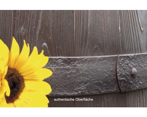 Detailaufnahme einer Fassdaube mit Metallreifen und Sonnenblume