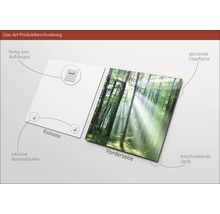 Image en verre avec motif de forêt, y compris suspension et entretoises