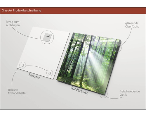 Image en verre avec motif de forêt, y compris suspension et entretoises