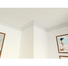 Vue d''une pièce avec des moulures décoratives au plafond