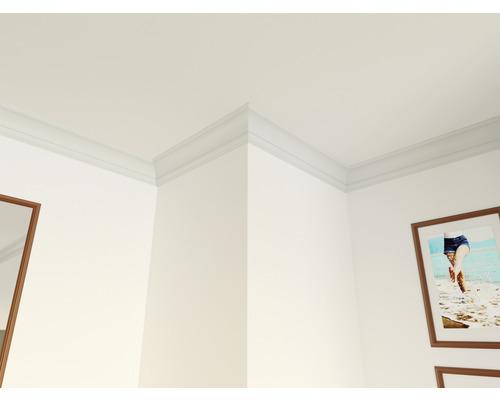 Vue d''une pièce avec des moulures décoratives au plafond
