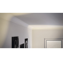 Coin de pièce avec moulure de plafond et éclairage indirect