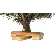 Sapin Nordmann sur croix en bois h 120-130 cm, sapin de Noël coupé issu d'une production durable